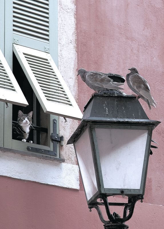 fb体育官网入口-山东男篮突破困境，球员状态逐渐回暖！，山东男篮最消息