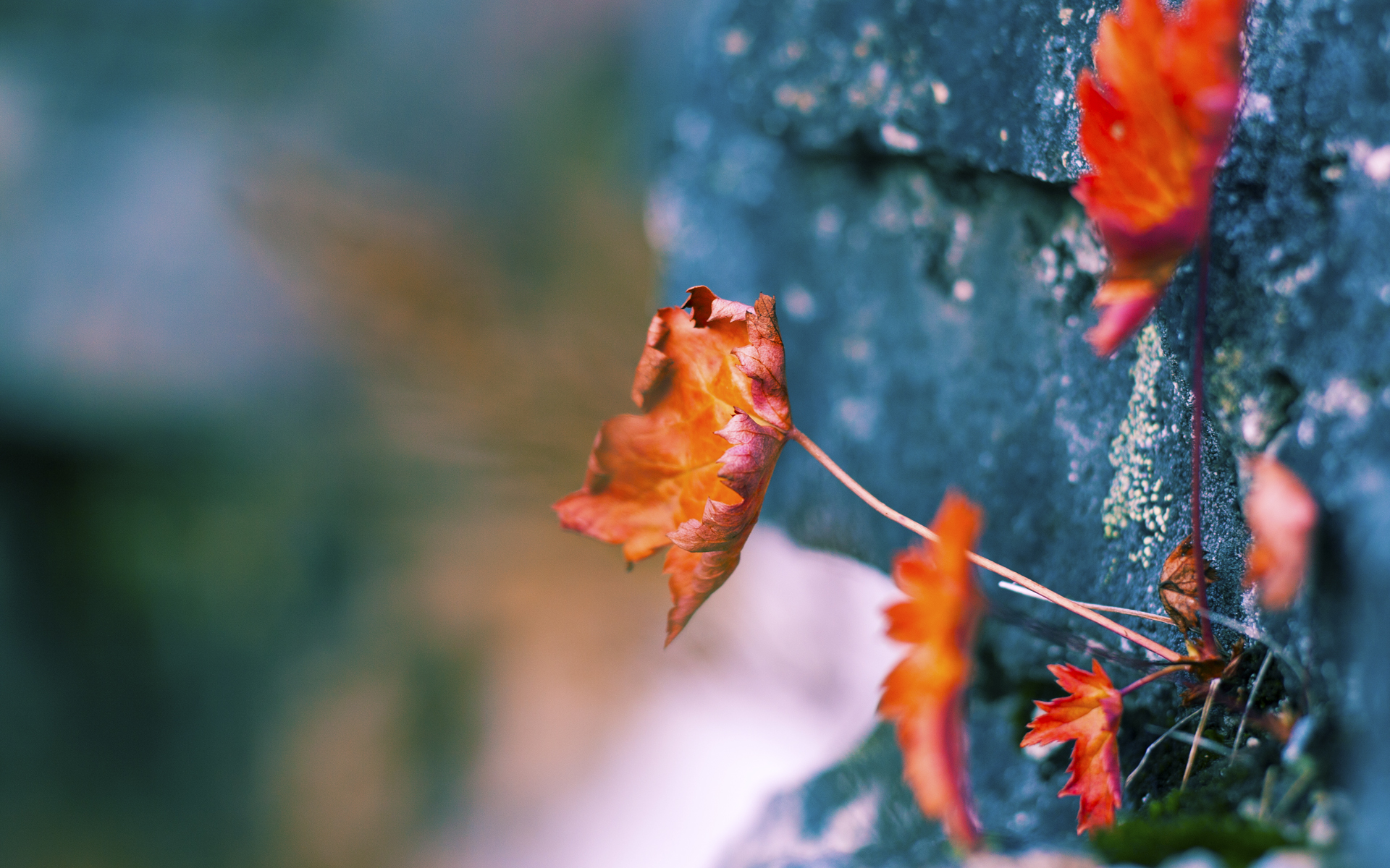 FB SPORTS-热议篮球球员训练营表现评估机制，篮球训练营学员登记表