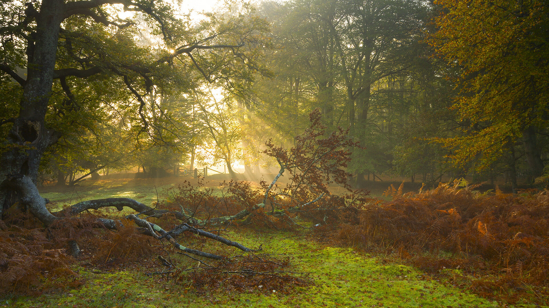 fb体育注册网址-瓦拉内射门破门，皇马赢得西甲冠军悬念加大，瓦拉内皇马合同