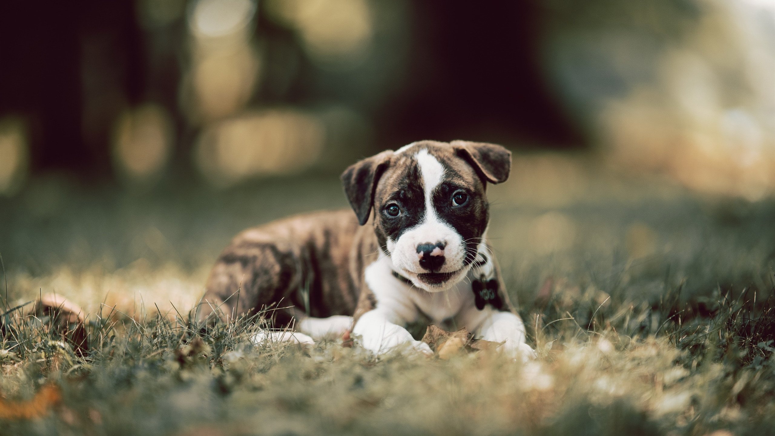 fb体育官网入口-联盟是否应加入更多体育精神教育环节，加入联盟的好处