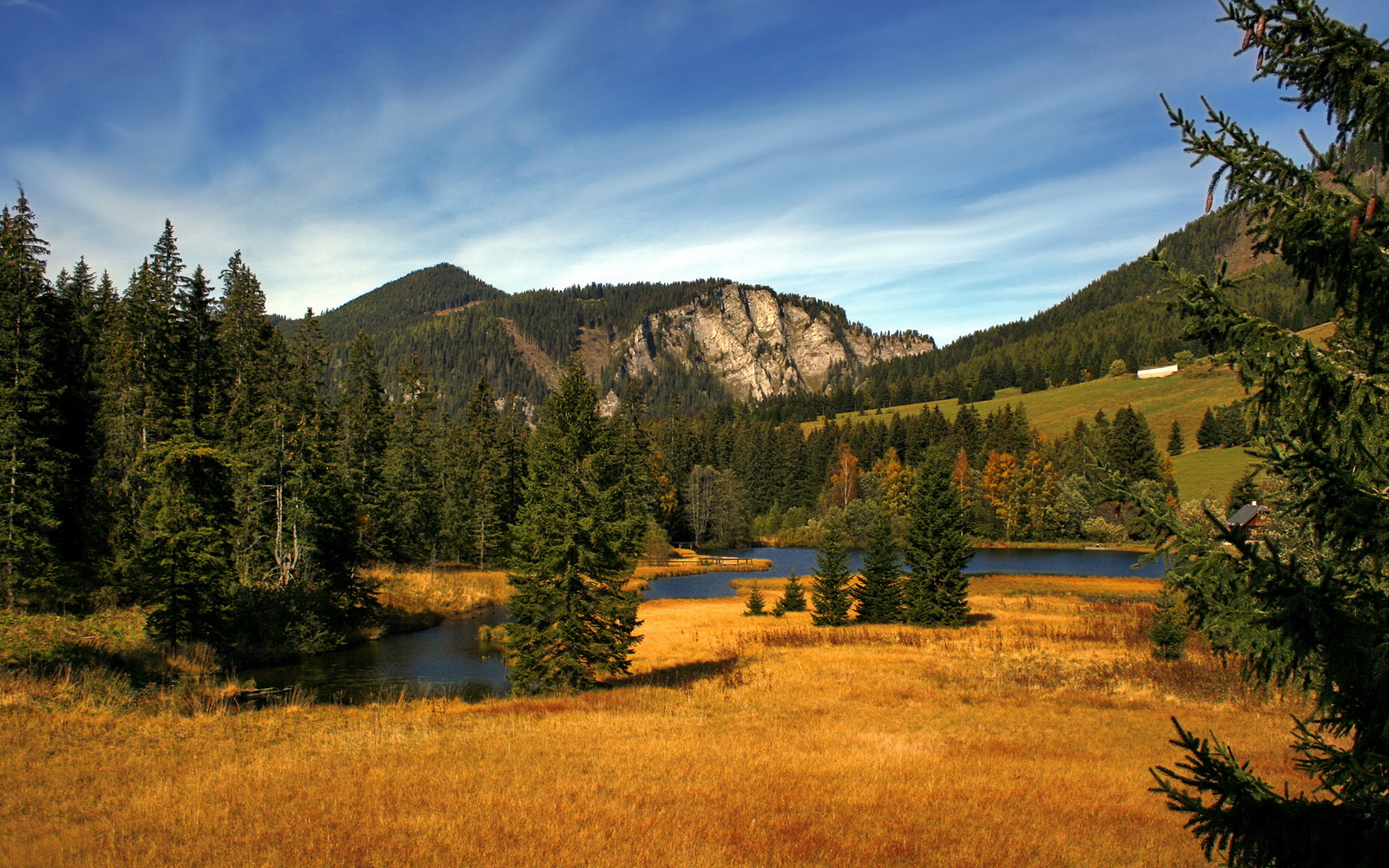 fb体育电竞-USMA 在杯赛决赛 71–69 战胜 WO Boufarik 创纪录首冠，usaco赛制