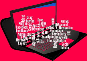 fb体育中国官网-CBA开展球员社交媒体管理课程提高职业素养，运动员社交媒体