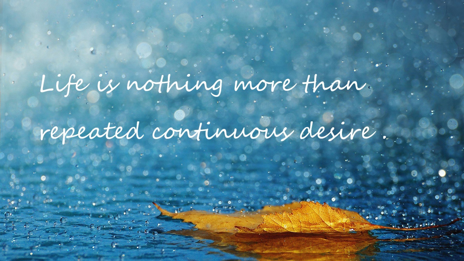 fb体育平台官网-Grassroots 村超联赛成为草根足球新生标签