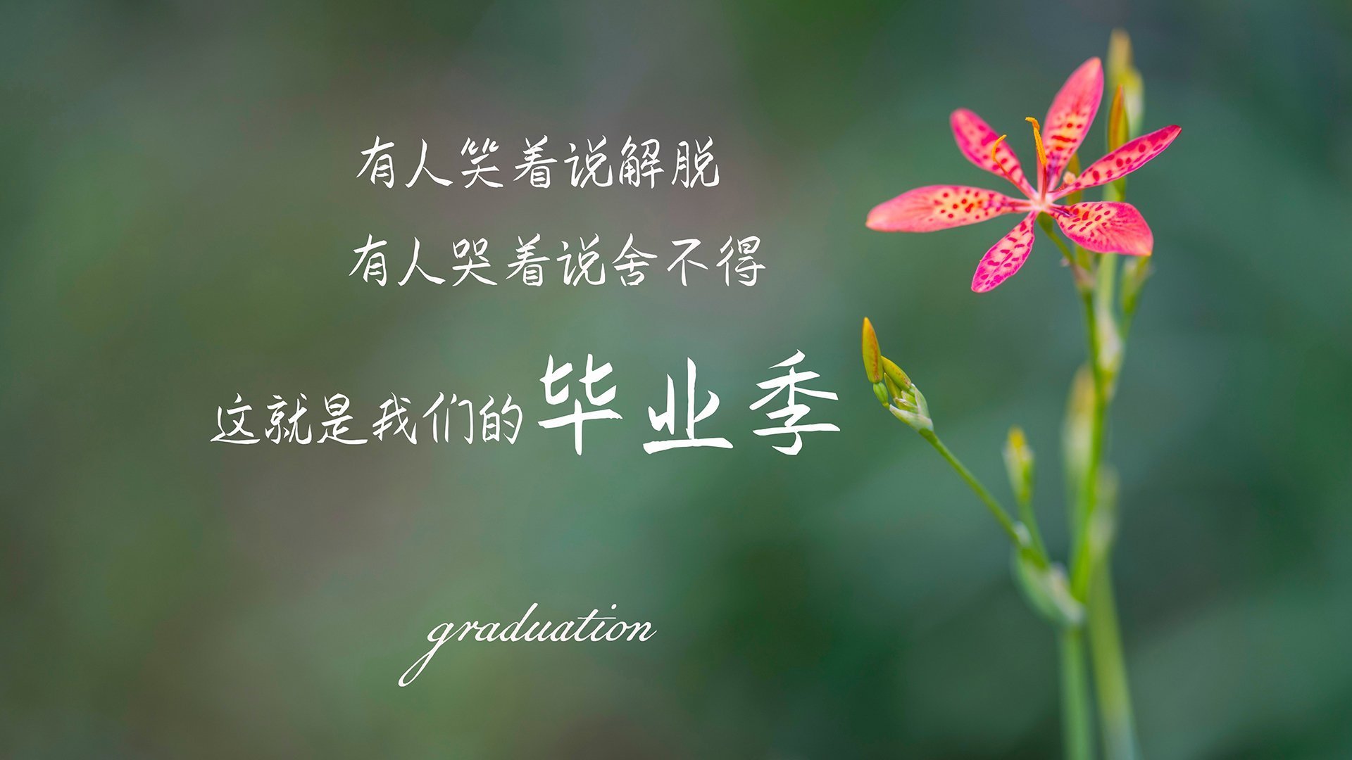 fb体育电脑版-克莱尔200自沉着应战 技术渐趋成熟，克莱尔2021年9月