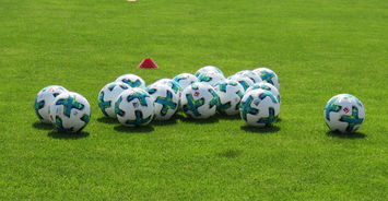 FB真人电子游戏-国际足球明星在世界杯舞台上的精彩表现引发全球热议，世界足球明星介绍