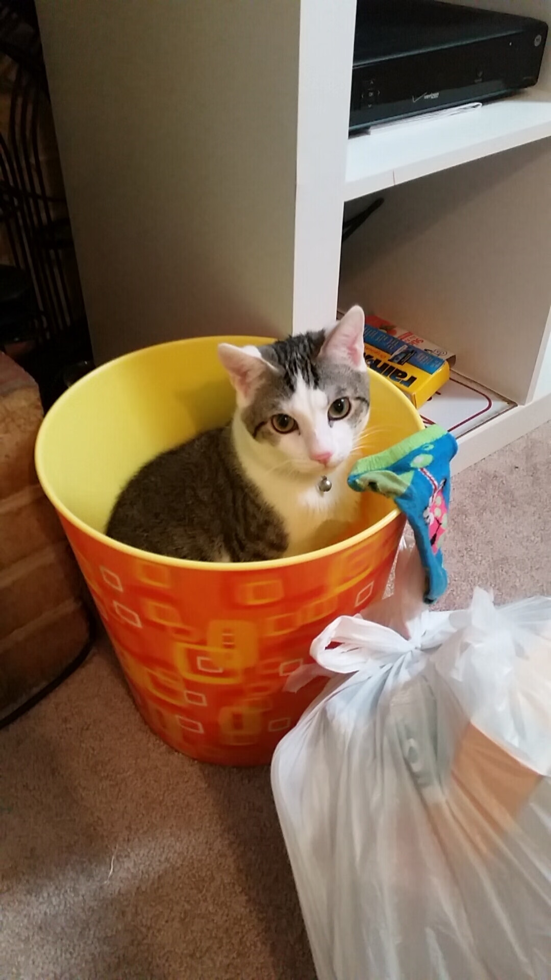 fb体育官网网页版-库里赛后总结比赛称要及时复盘，库里复出23分