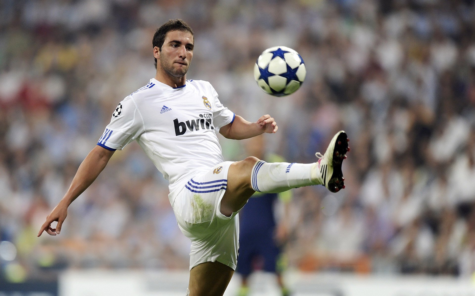 fb体育平台-西班牙青年队在欧洲大赛中表现亮眼，未来可期