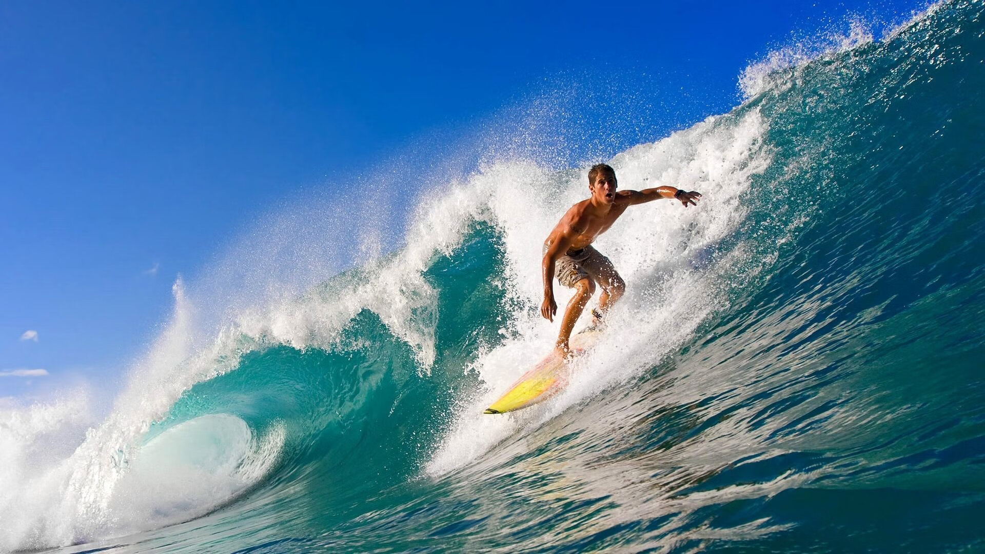 fb体育娱乐-赛场突发事件：意外场面引发热议，比赛现场突发情况应对